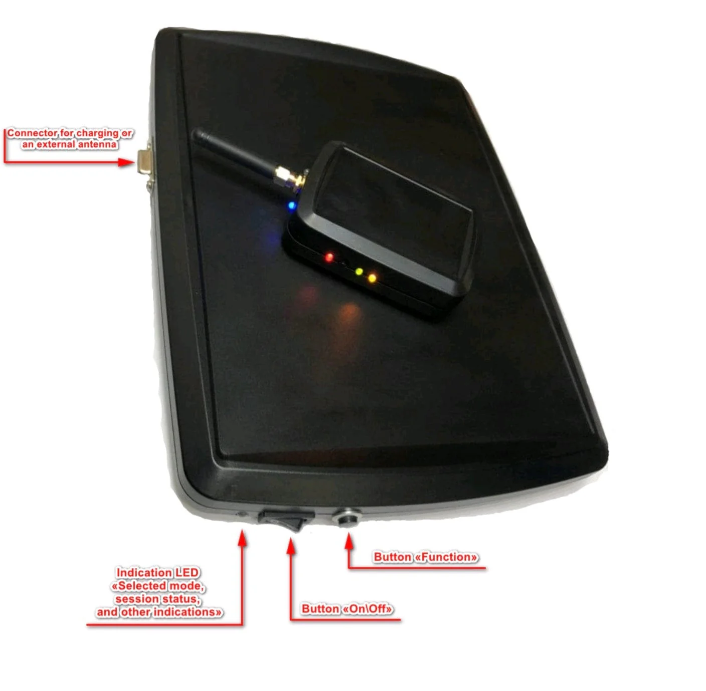 Thumb 2